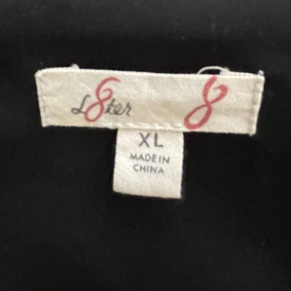 L8ter 8 Long Sleeve Sheer Lined Scoop Neck Womens Tunic/Top Size XL - Picture 3 of 4